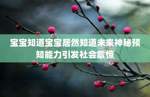 宝宝知道宝宝居然知道未来神秘预知能力引发社会震惊