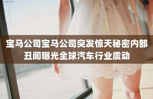 宝马公司宝马公司突发惊天秘密内部丑闻曝光全球汽车行业震动