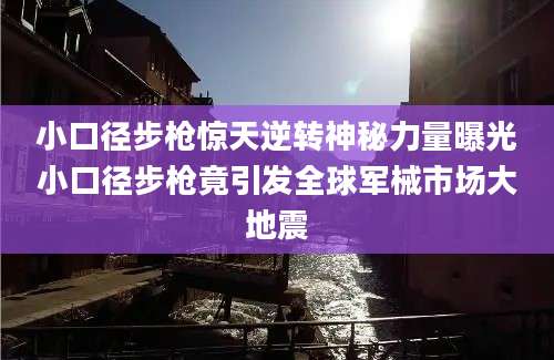 小口径步枪惊天逆转神秘力量曝光小口径步枪竟引发全球军械市场大地震