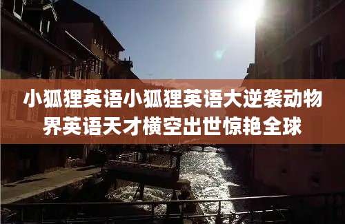 小狐狸英语小狐狸英语大逆袭动物界英语天才横空出世惊艳全球