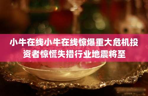 小牛在线小牛在线惊爆重大危机投资者惊慌失措行业地震将至