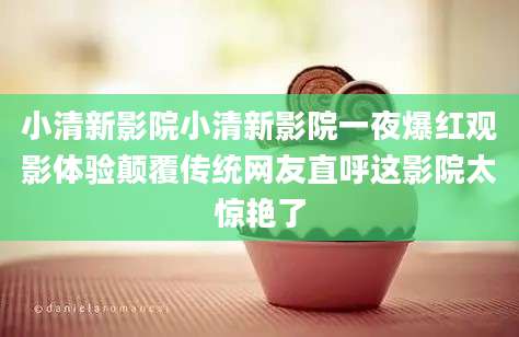小清新影院小清新影院一夜爆红观影体验颠覆传统网友直呼这影院太惊艳了