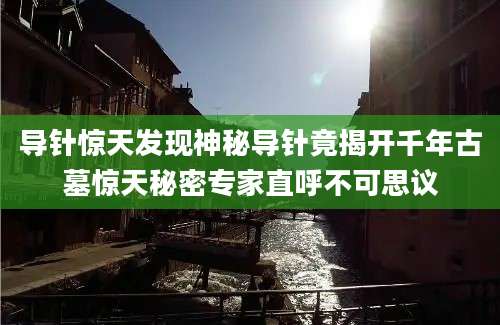 导针惊天发现神秘导针竟揭开千年古墓惊天秘密专家直呼不可思议