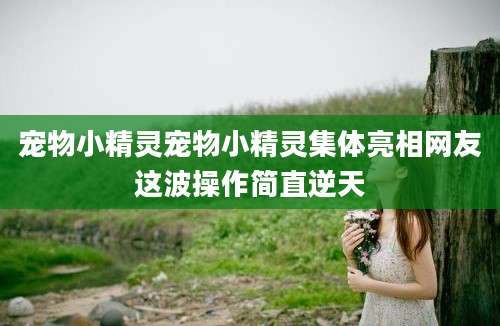 宠物小精灵宠物小精灵集体亮相网友这波操作简直逆天