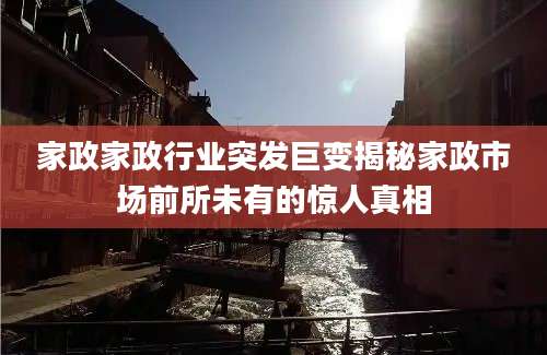 家政家政行业突发巨变揭秘家政市场前所未有的惊人真相