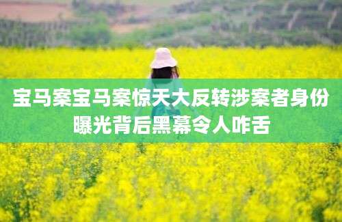 宝马案宝马案惊天大反转涉案者身份曝光背后黑幕令人咋舌