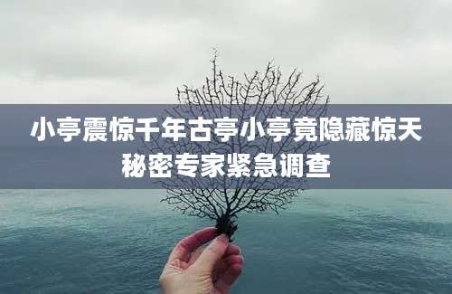 小亭震惊千年古亭小亭竟隐藏惊天秘密专家紧急调查