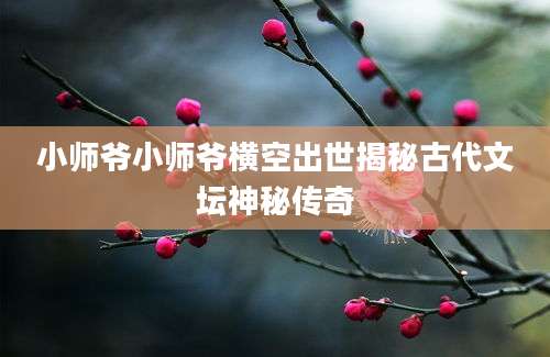 小师爷小师爷横空出世揭秘古代文坛神秘传奇