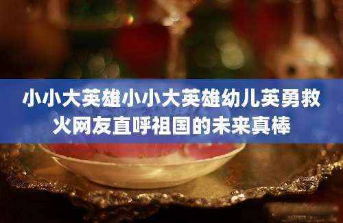 小小大英雄小小大英雄幼儿英勇救火网友直呼祖国的未来真棒