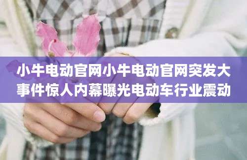小牛电动官网小牛电动官网突发大事件惊人内幕曝光电动车行业震动