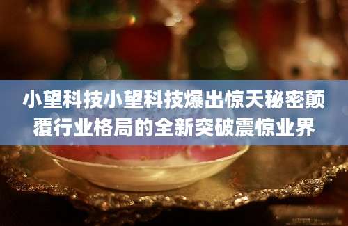 小望科技小望科技爆出惊天秘密颠覆行业格局的全新突破震惊业界