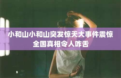 小和山小和山突发惊天大事件震惊全国真相令人咋舌