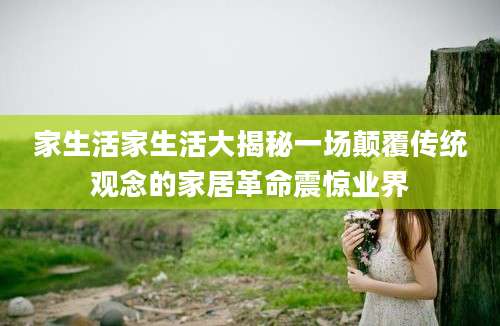 家生活家生活大揭秘一场颠覆传统观念的家居革命震惊业界