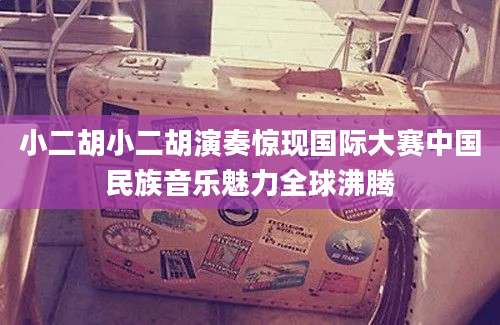 小二胡小二胡演奏惊现国际大赛中国民族音乐魅力全球沸腾