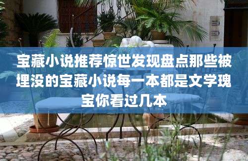 宝藏小说推荐惊世发现盘点那些被埋没的宝藏小说每一本都是文学瑰宝你看过几本