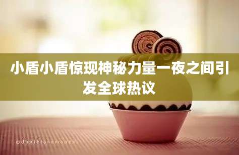 小盾小盾惊现神秘力量一夜之间引发全球热议