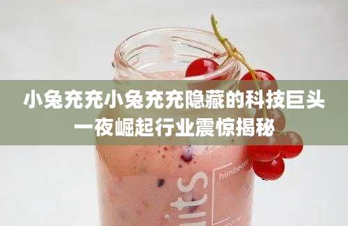 小兔充充小兔充充隐藏的科技巨头一夜崛起行业震惊揭秘