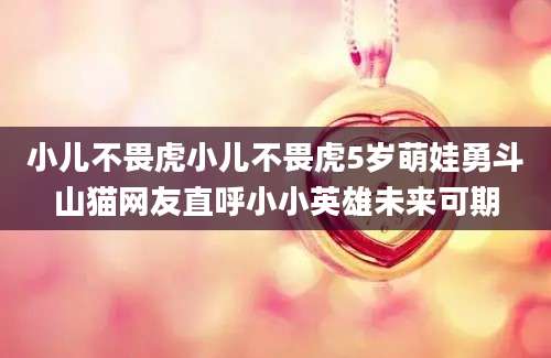 小儿不畏虎小儿不畏虎5岁萌娃勇斗山猫网友直呼小小英雄未来可期
