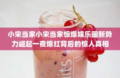 小宋当家小宋当家惊爆娱乐圈新势力崛起一夜爆红背后的惊人真相