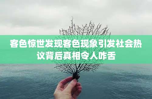 客色惊世发现客色现象引发社会热议背后真相令人咋舌