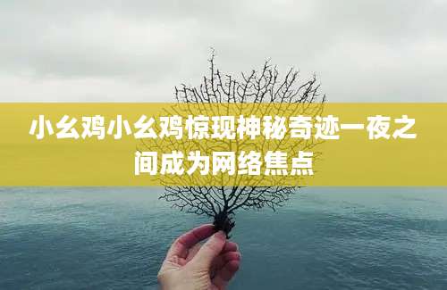 小幺鸡小幺鸡惊现神秘奇迹一夜之间成为网络焦点