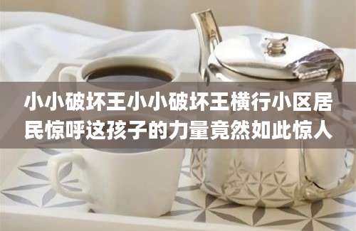 小小破坏王小小破坏王横行小区居民惊呼这孩子的力量竟然如此惊人
